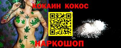 мдпв Камышлов