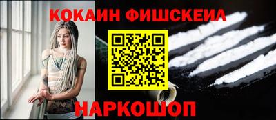 мдпв Камышлов