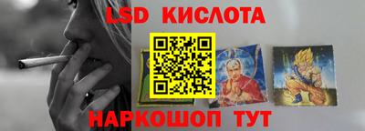 мдпв Камышлов