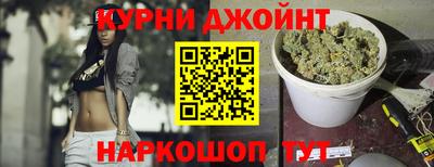 мдпв Камышлов