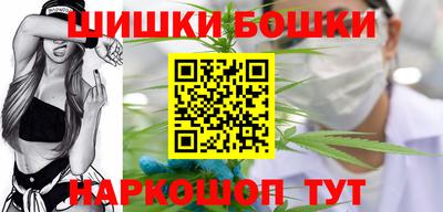 мдпв Камышлов