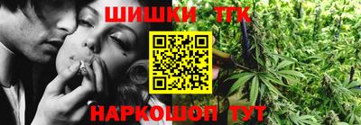 мдпв Камышлов