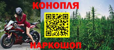 мдпв Камышлов