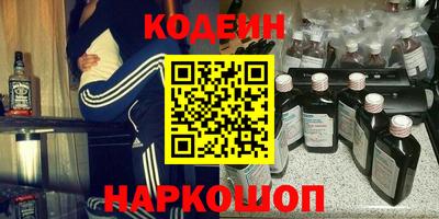 мдпв Камышлов