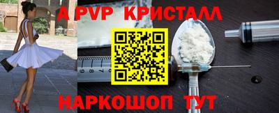 мдпв Камышлов