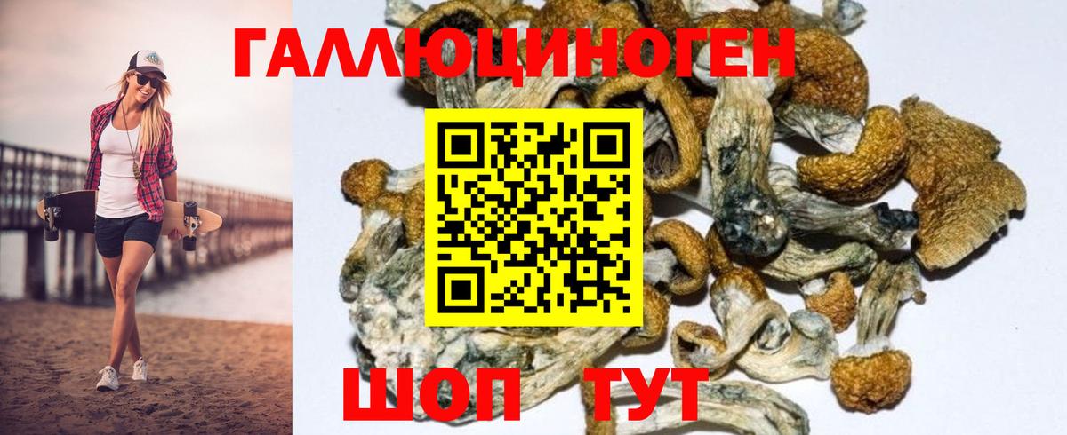 Кувандык  Галлюциногенные грибы MAGIC MUSHROOMS  Вход с VPN 